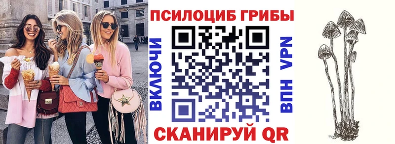 Галлюциногенные грибы Psilocybine cubensis  Завитинск 